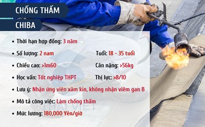 ĐƠN HÀNG CHỐNG THẤM - CHIBA